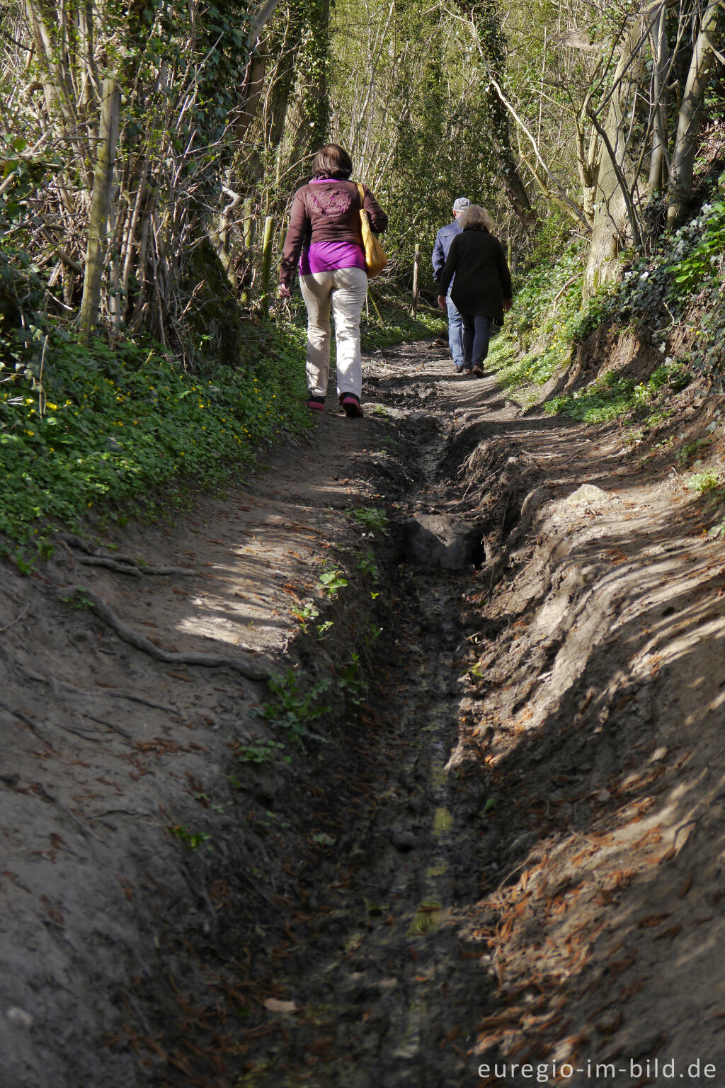 Detailansicht von Mameliser Mühlenweg, Grenzroute 7, Aachen-Orsbach