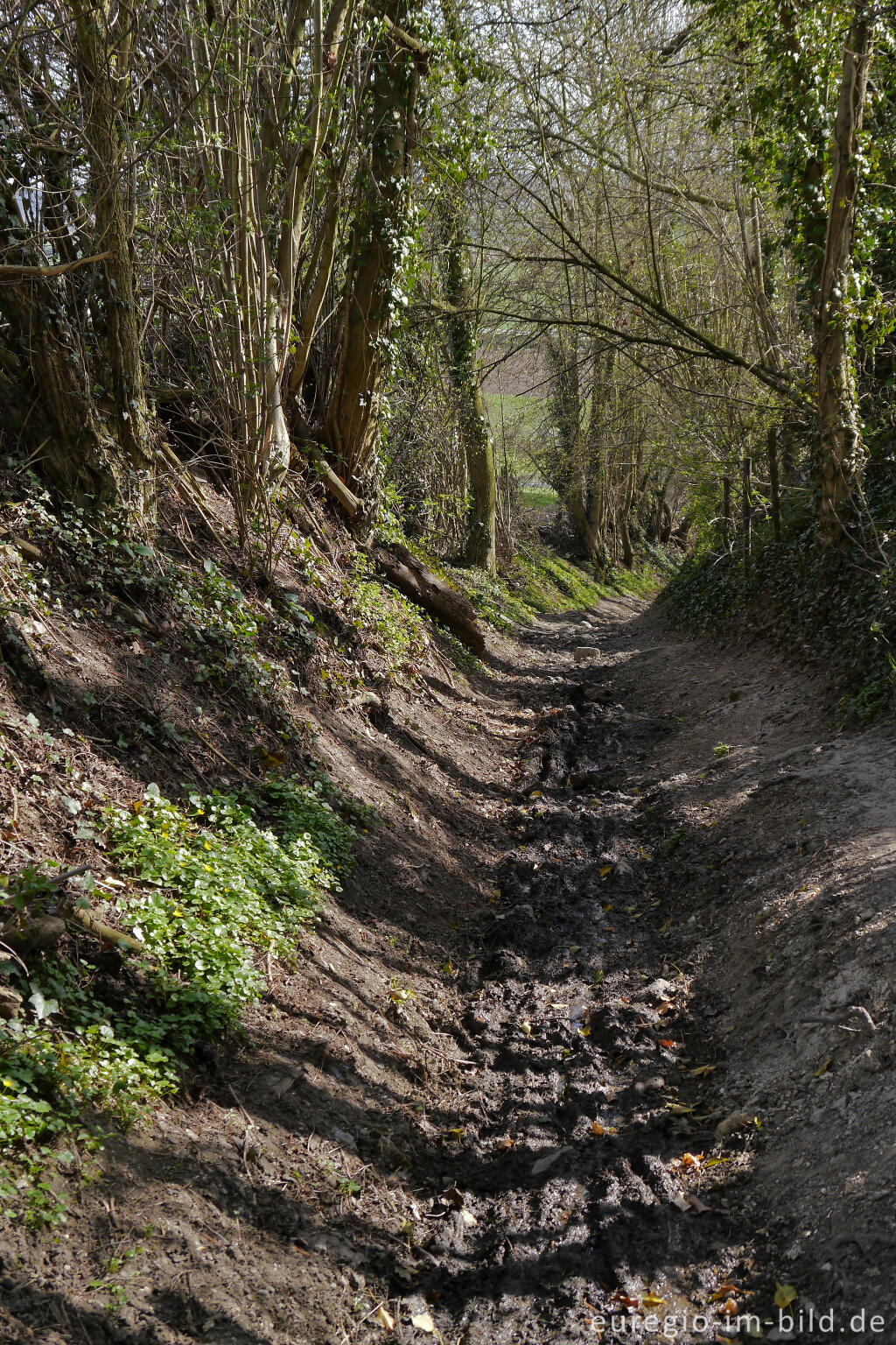 Detailansicht von Mameliser Mühlenweg, Grenzroute 7, Aachen-Orsbach