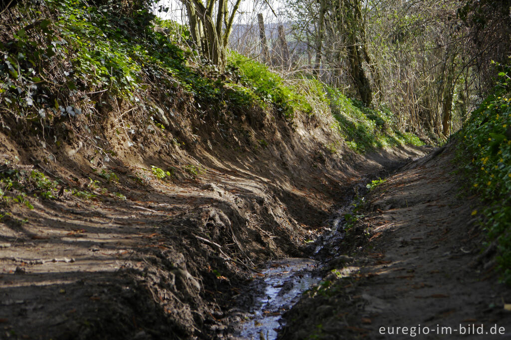 Mameliser Mühlenweg, Grenzroute 7 bei Aachen-Orsbach