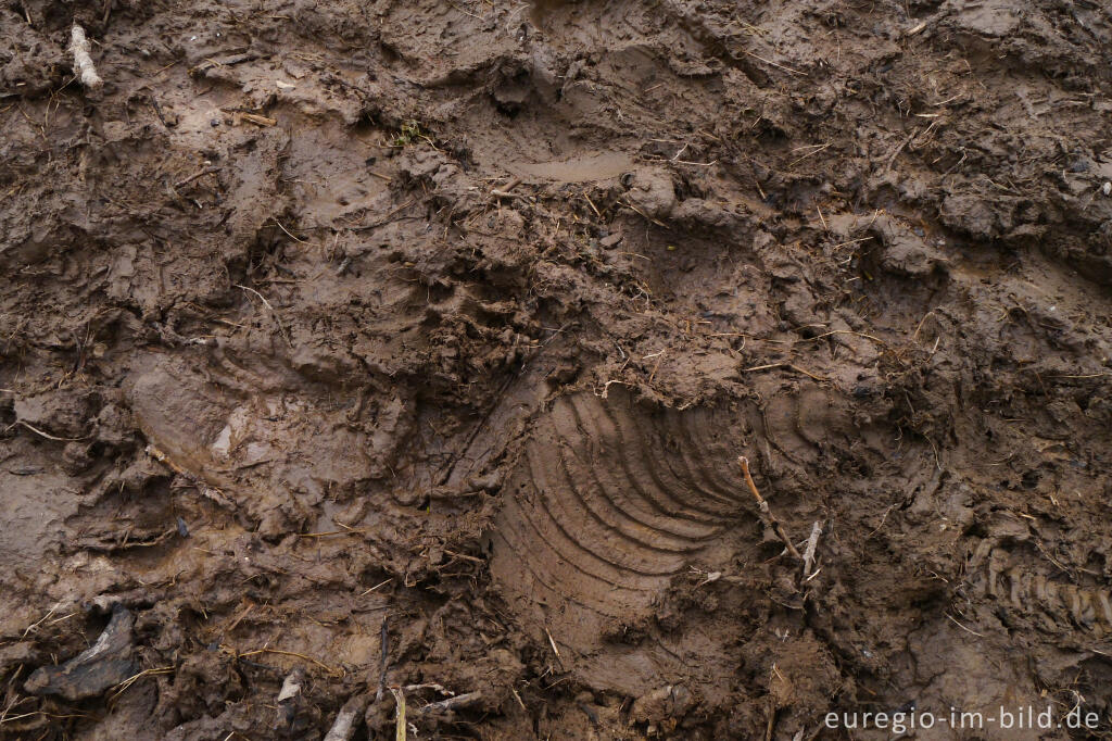 Detailansicht von Matschiger Wanderweg im Vorfrühling