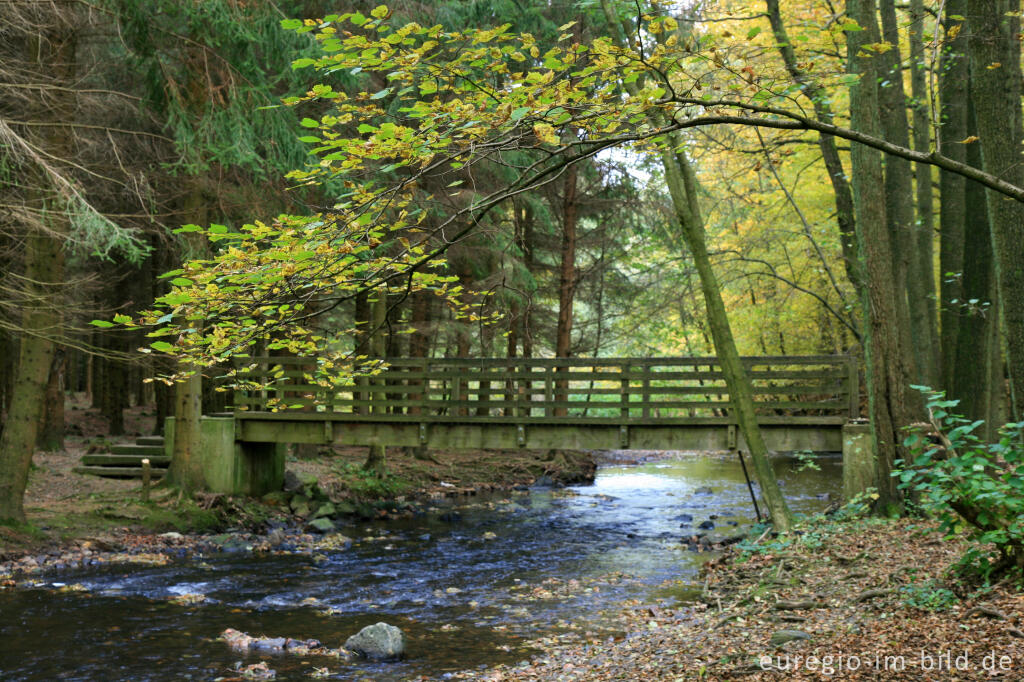 Detailansicht von Matthiasweg/Eifelsteig, Brücke über den Vichtbach bei Rott 