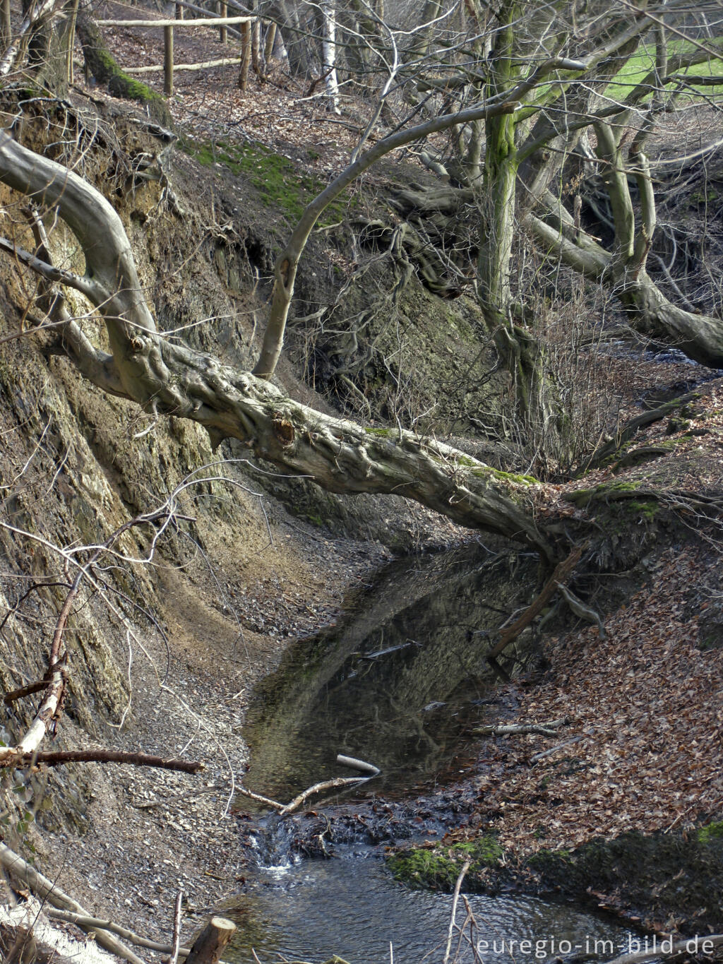 Detailansicht von Meisbach beim Wurmtal, Würselen