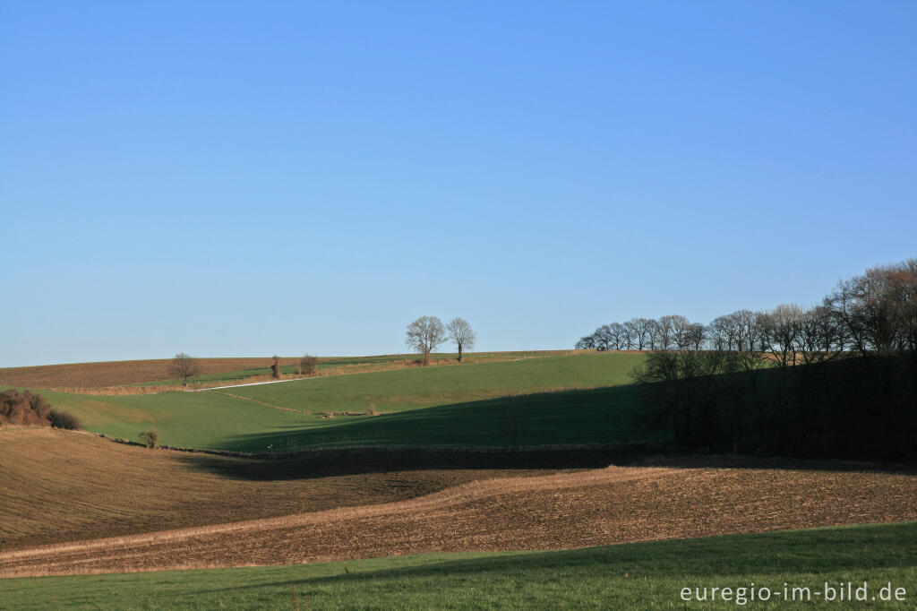 Detailansicht von Mergelland bei Gulpen