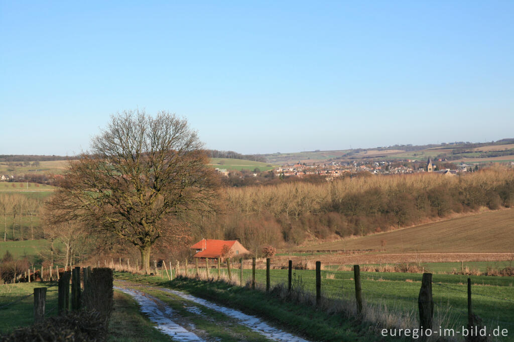 Detailansicht von Mergelland bei Gulpen