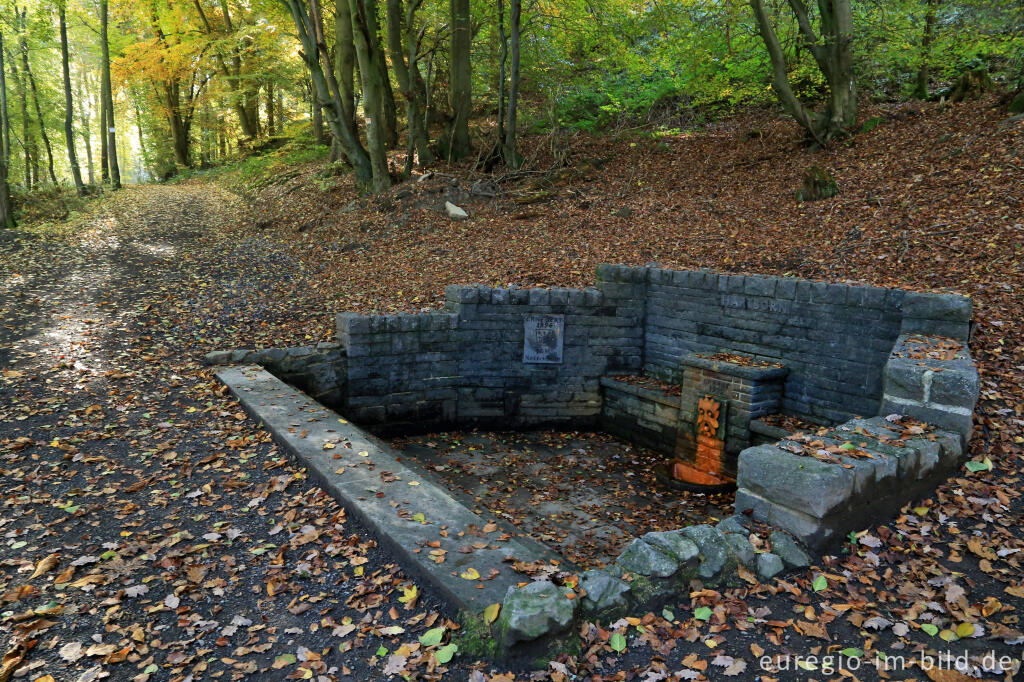 Detailansicht von Mineralquelle Hartborn im Kottenheimer Wald