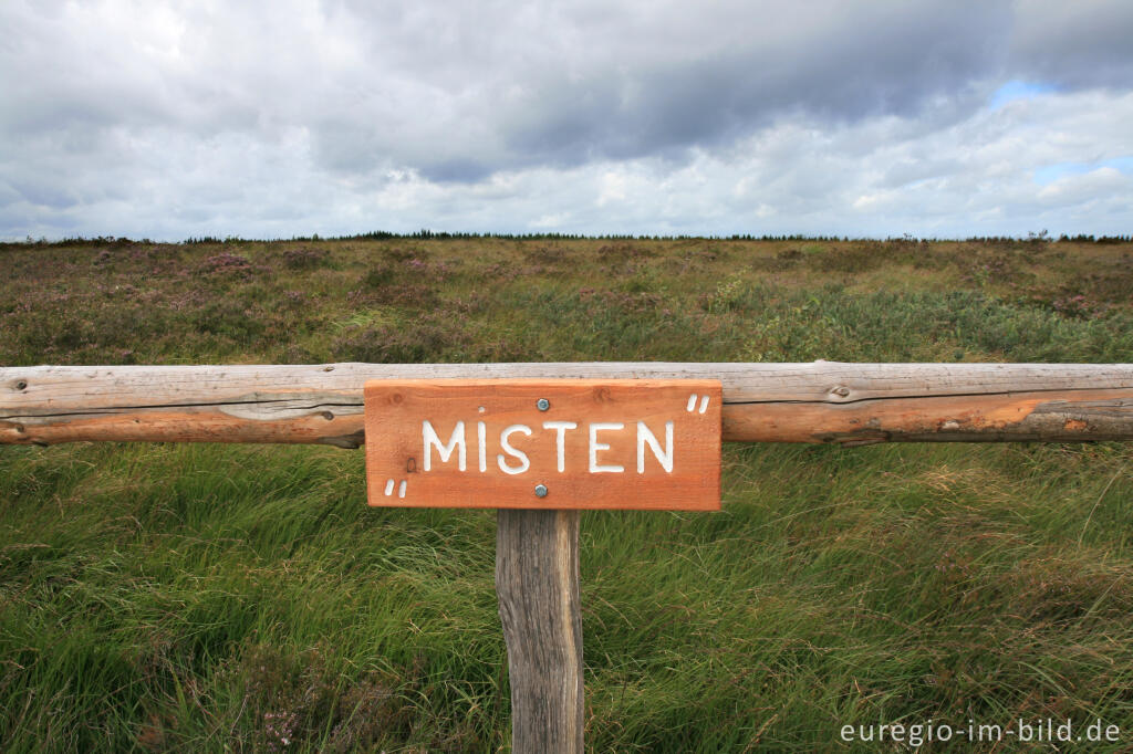 Misten, Königliches Torfmoor im Brackvenn, Hohes Venn