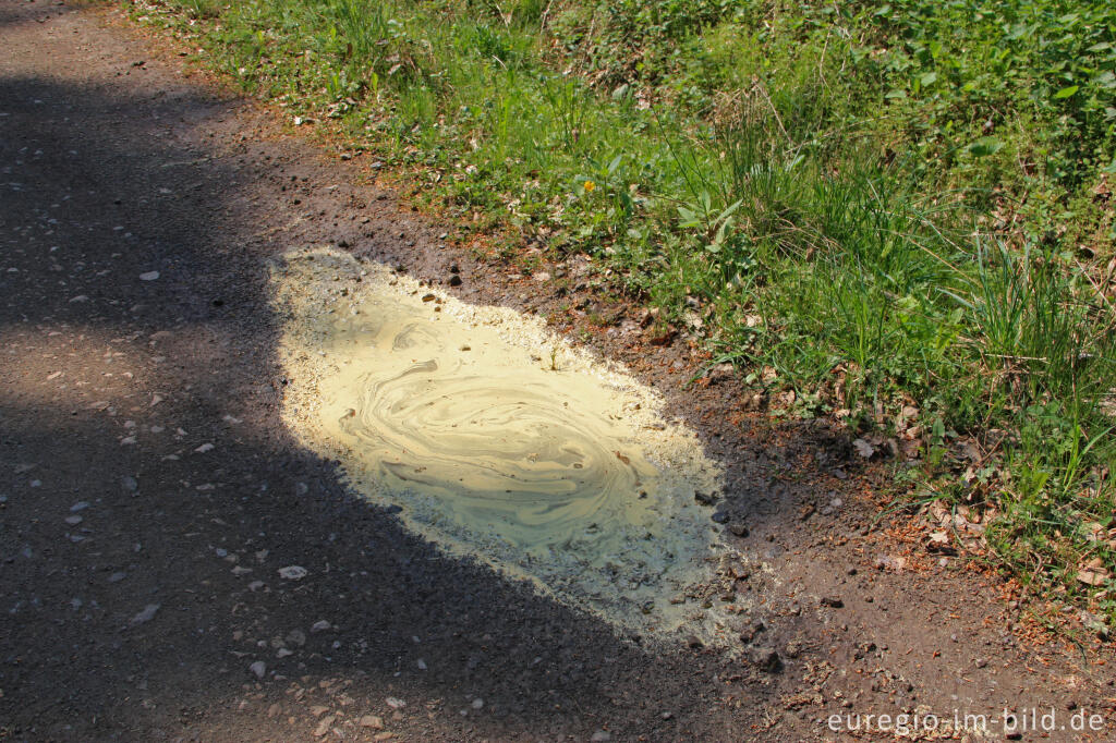 Detailansicht von Mit Pollen bedeckte Wasserpfütze 