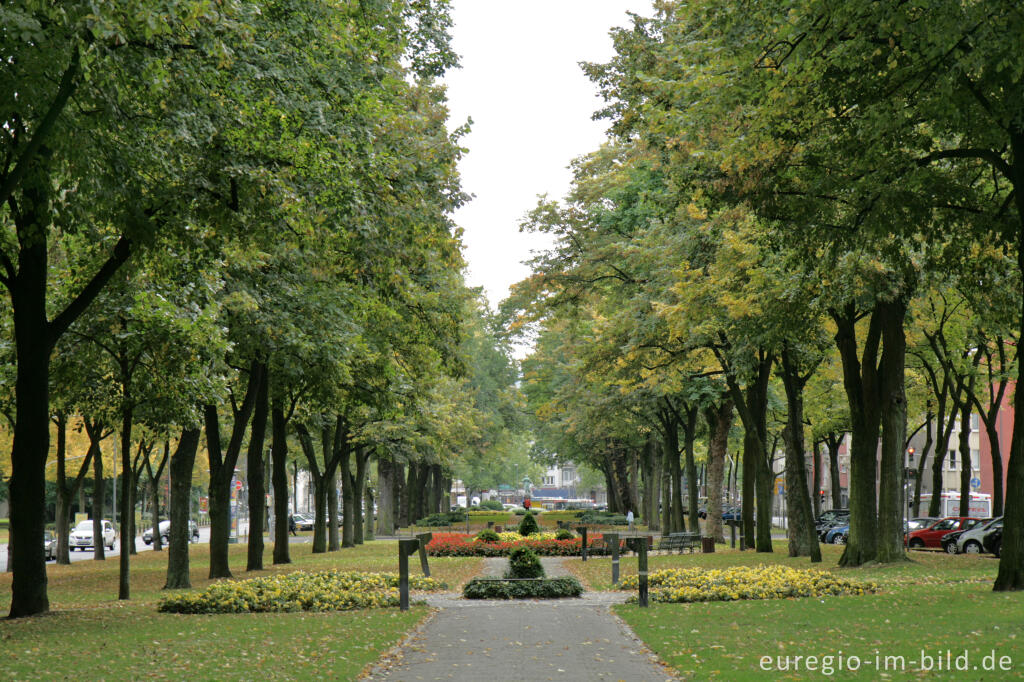 Detailansicht von Monheimsallee, Teil des Alleenrings in Aachen