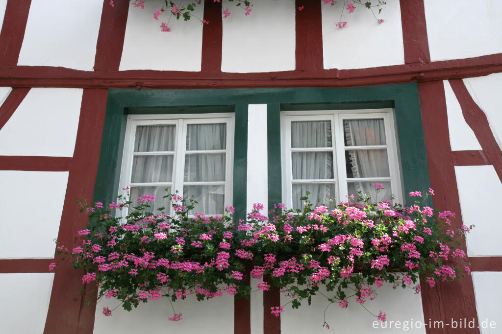 Detailansicht von Monschau in der Eifel