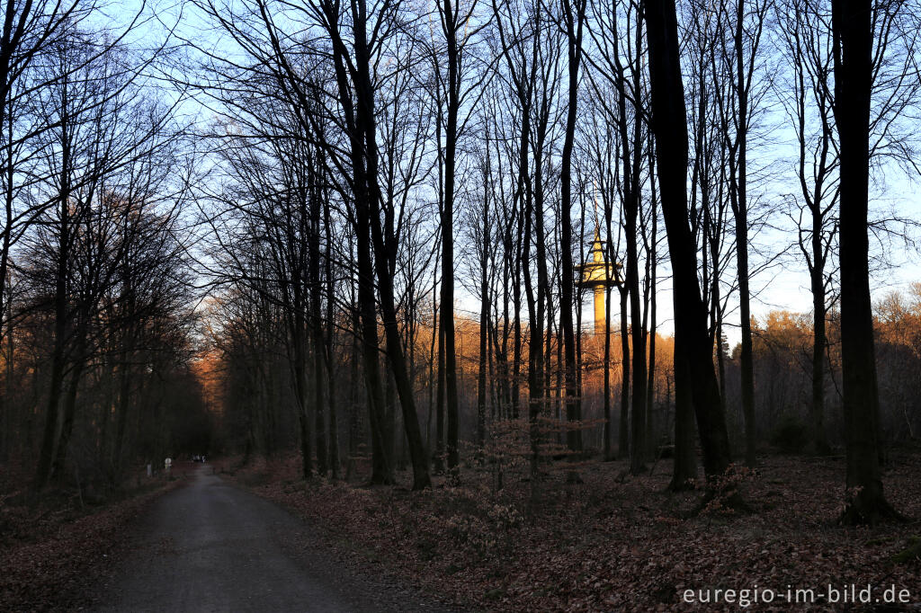 Detailansicht von Moresneter Pilgerweg (Moresneter Bittweg) mit dem Mulleklenkes im Hintergrund