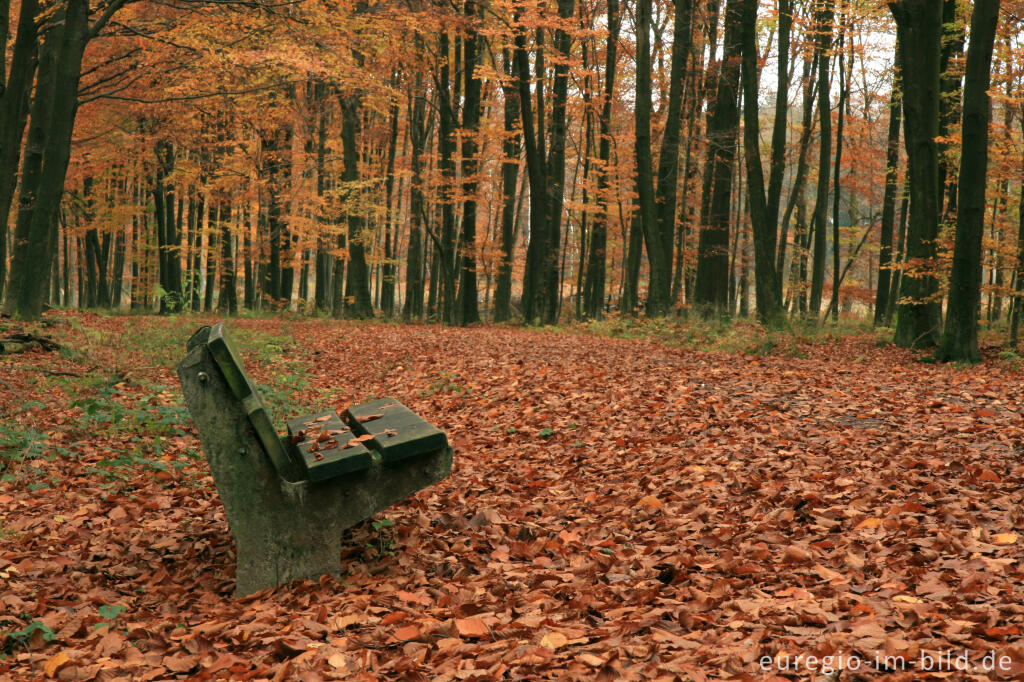 Detailansicht von Moresneter Weg, Teil des Jakobsweg, beim Dreiländerpunkt