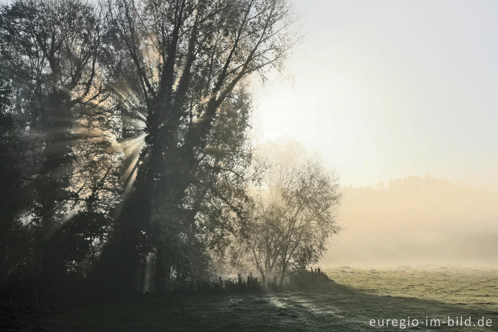 Detailansicht von Morgennebel im Wurmtal zwischen Kohlscheid und Bardenberg