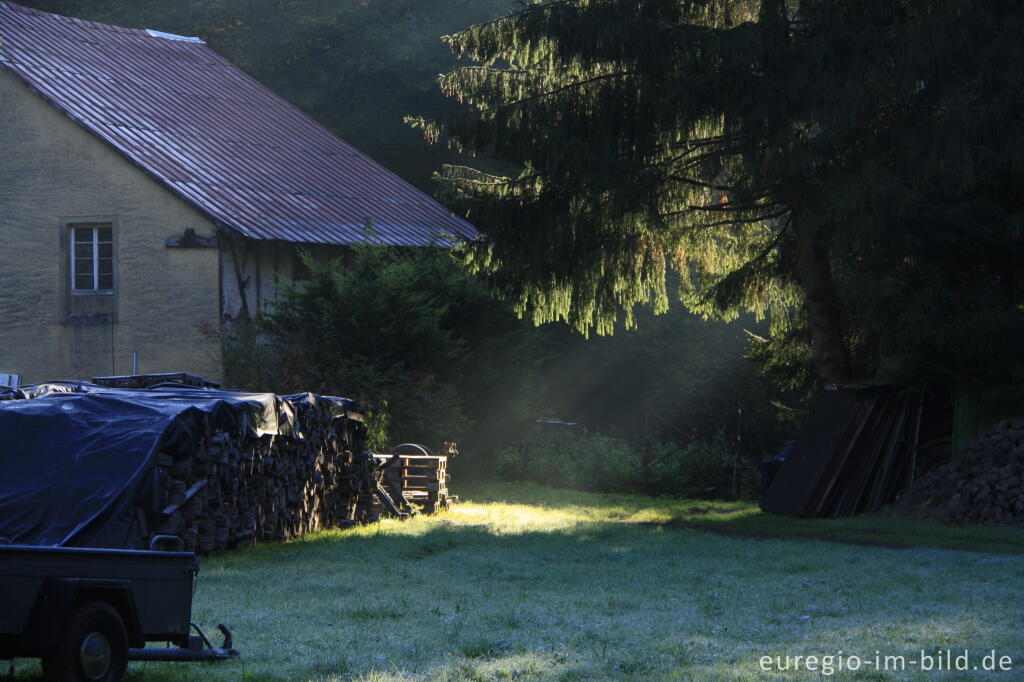 Morgenstimmung im Salmtal