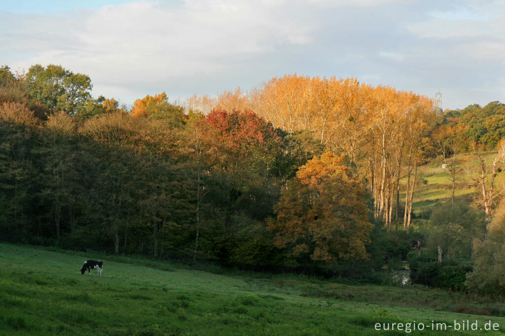 Detailansicht von Morgenstimmung im Wurmtal bei Herzogenrath-Straß