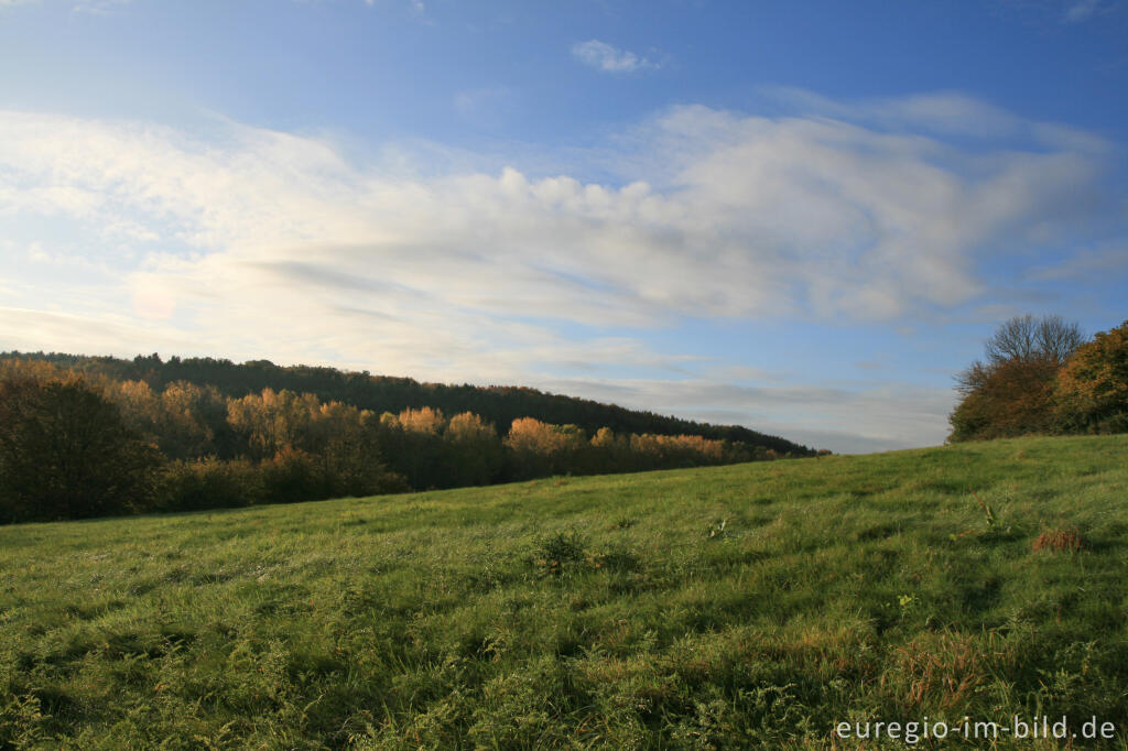 Detailansicht von Morgenstimmung im Wurmtal bei Herzogenrath-Straß