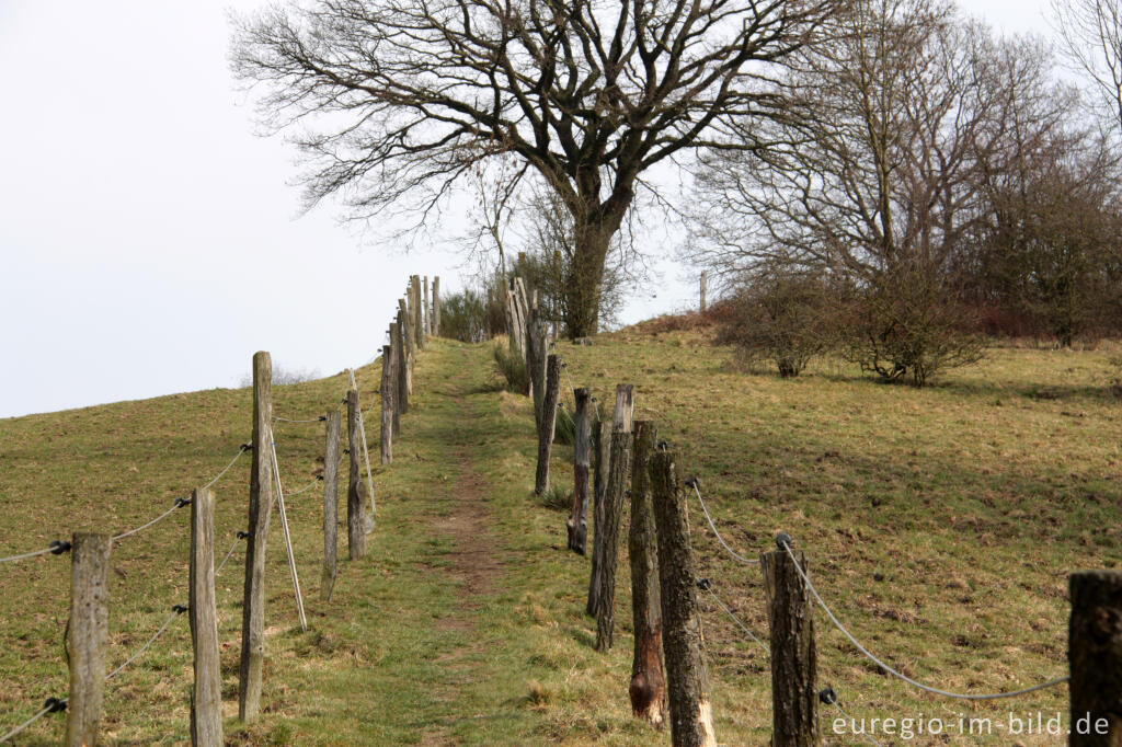 Detailansicht von Natagora - Wanderweg im Göhltal nördlich von  Plombières