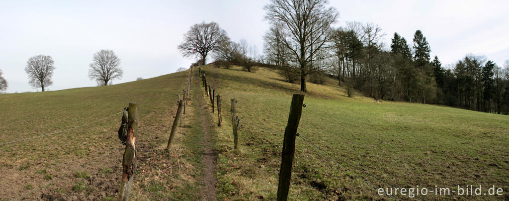 Detailansicht von Natagora - Wanderweg im Göhltal nördlich von  Plombières