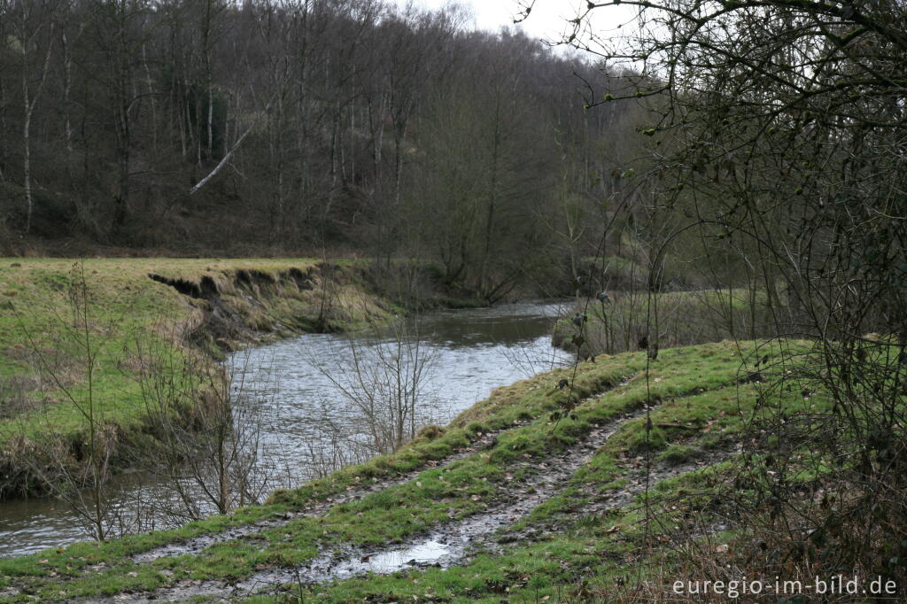 Detailansicht von Natürliches Flussbett der Wurm