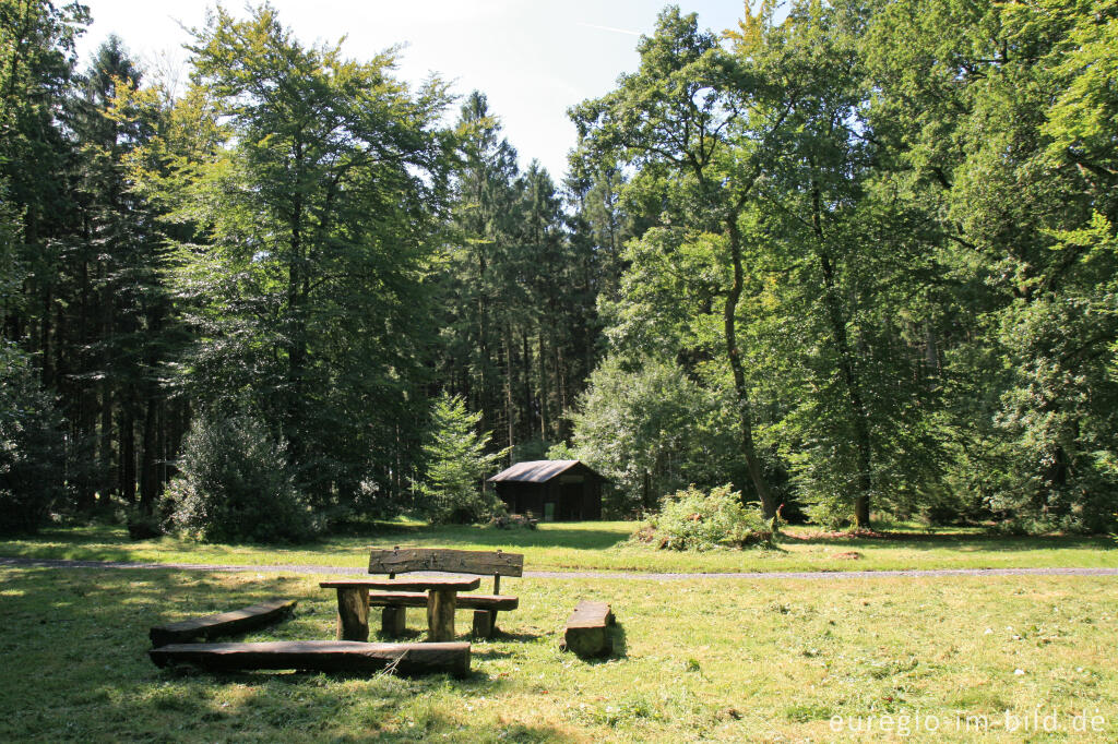 Detailansicht von Naturdenkmal Rakkesch bei Roetgen