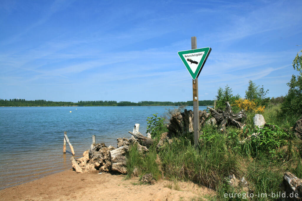 Detailansicht von Naturschutzgebiet am Blausteinsee