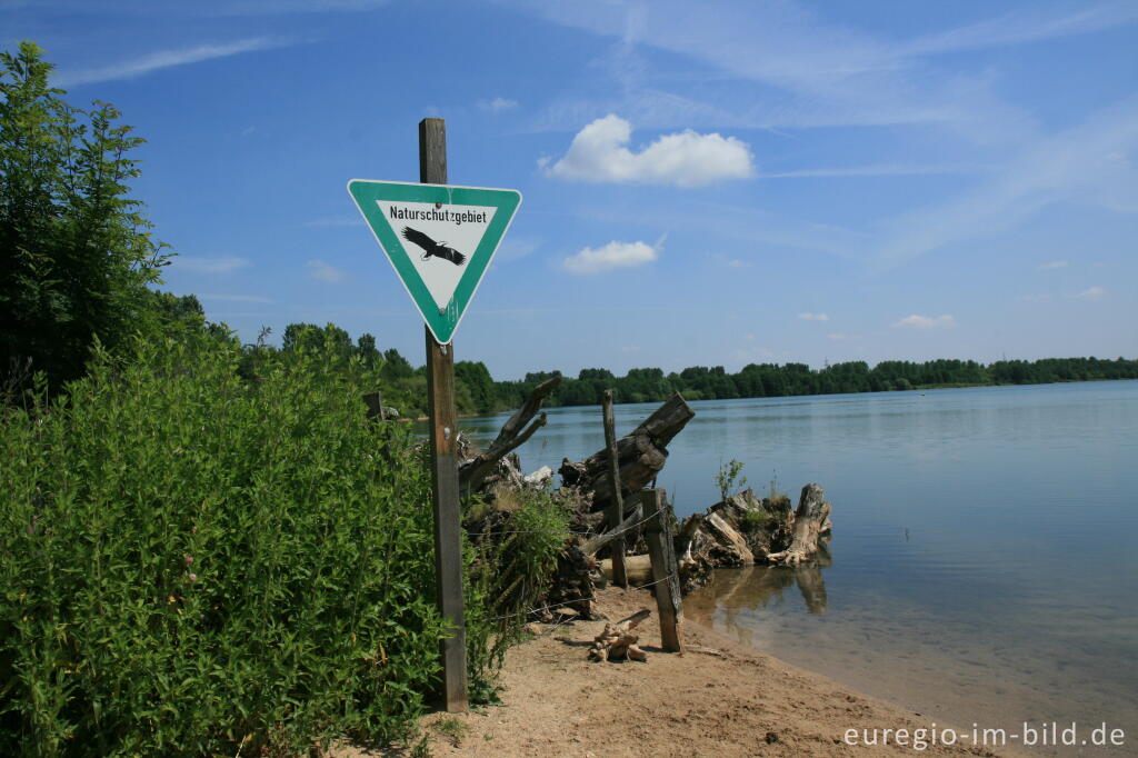 Detailansicht von Naturschutzgebiet im nördlichen Teil des Blausteinsees