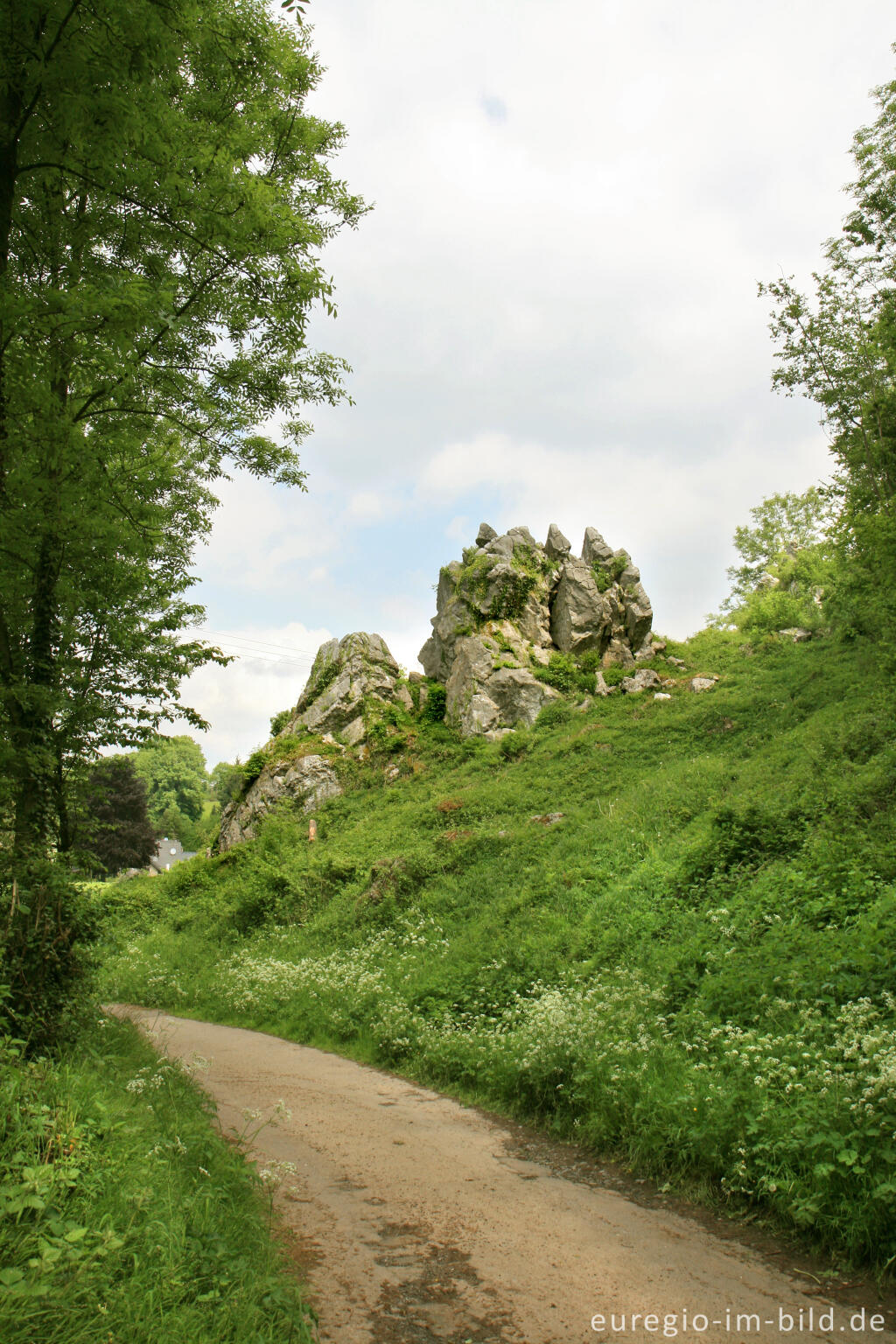 Detailansicht von Naturschutzgebiet Mönchsfelsen bei Hahn, Walheim