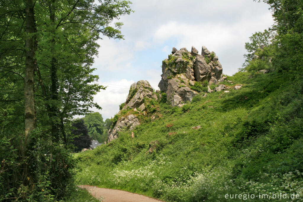 Detailansicht von Naturschutzgebiet Mönchsfelsen bei Hahn, Walheim