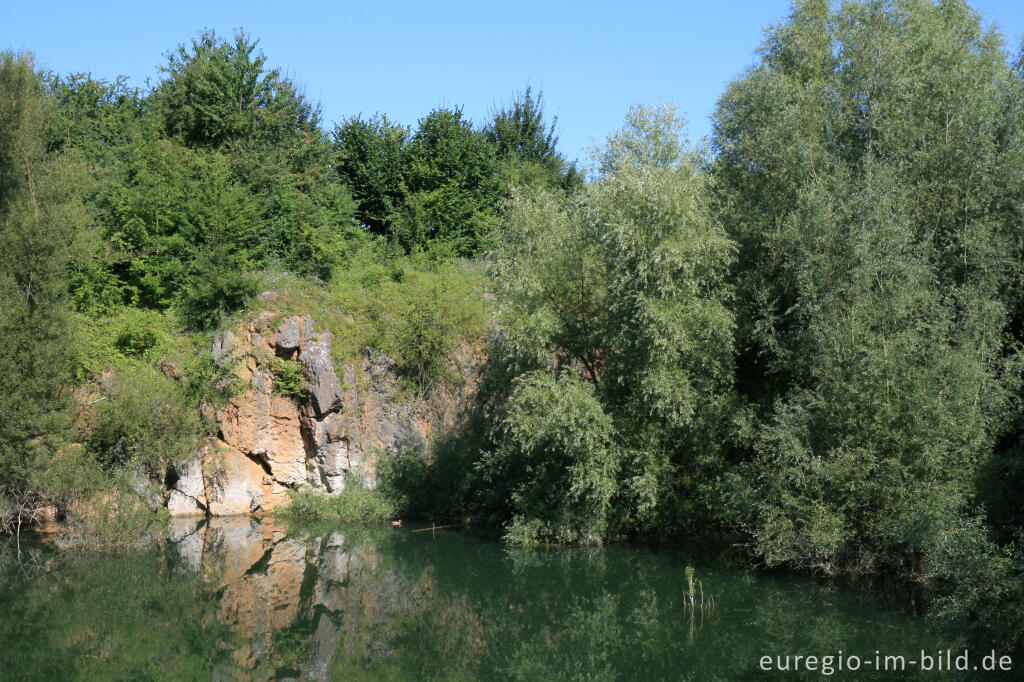 Detailansicht von Naturschutzgebiet Schomet, Breinig