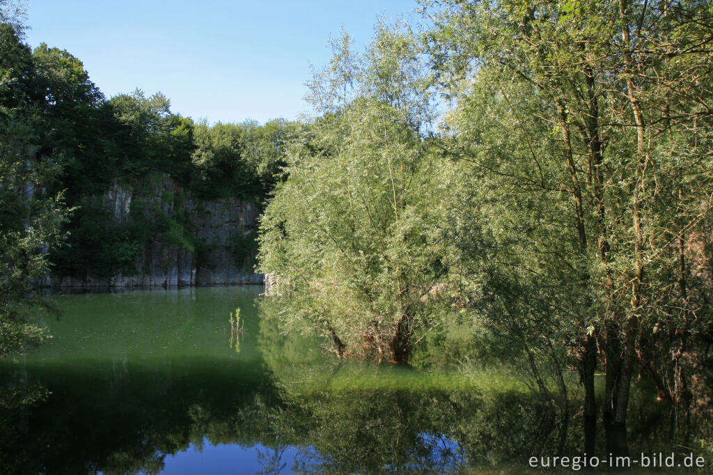 Detailansicht von Naturschutzgebiet Schomet, Breinig