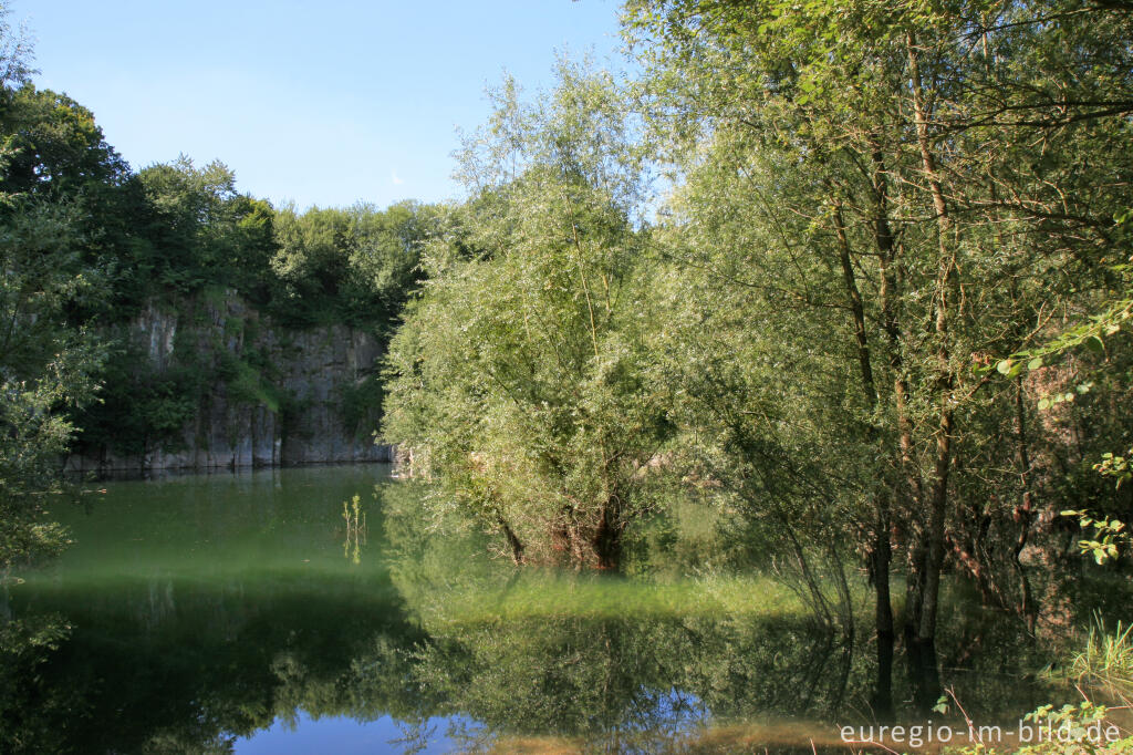 Detailansicht von Naturschutzgebiet Schomet, Breinig