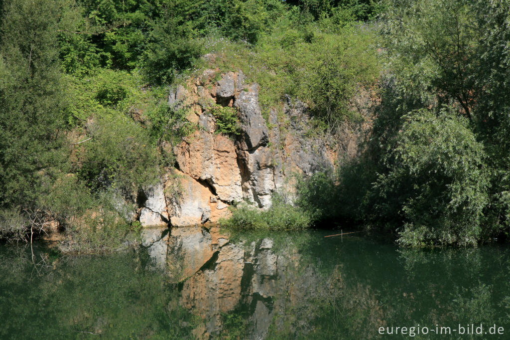 Detailansicht von Naturschutzgebiet Schomet, Breinig