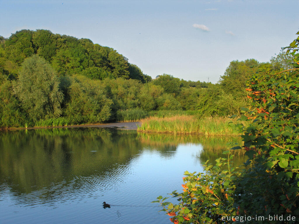 Detailansicht von  Naturschutzgebiet Seffent/ Wilkensberg, westlich von Aachen