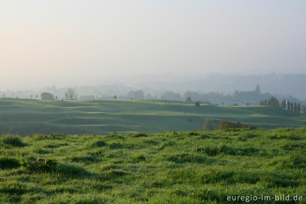 Detailansicht von Naturschutzgebiet Vijlenerbos und Hügelland bei Cottessen