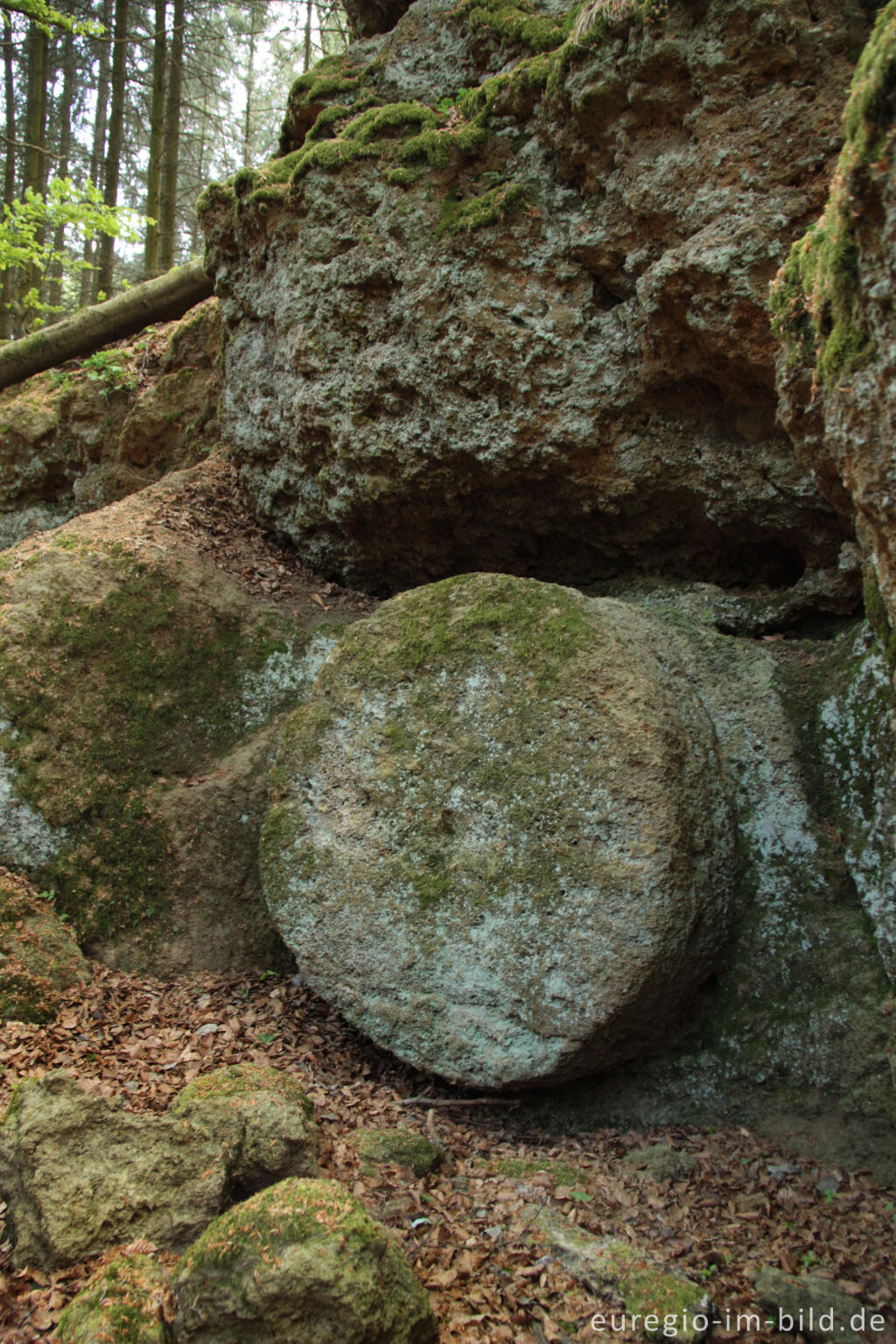 Detailansicht von Nicht fertiggestellter Mühlstein bei den Mühlsteinhöhlen am "Rother Kopf"