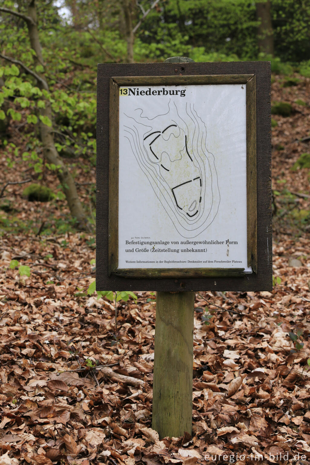 Detailansicht von Niederburg, Ferschweiler Plateau