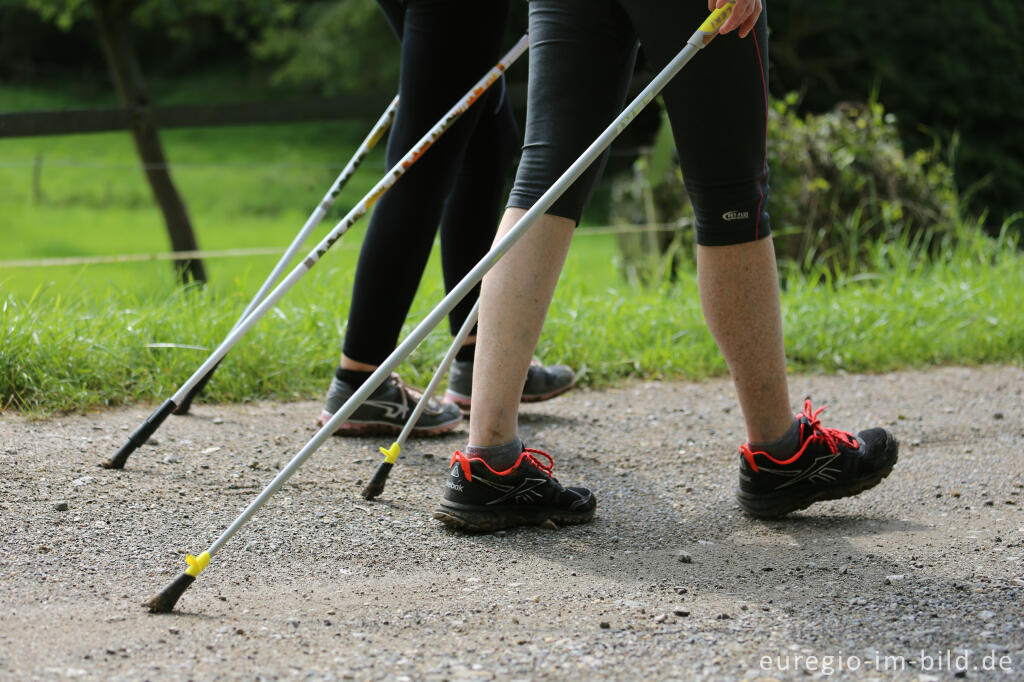 Detailansicht von Nordic Walking