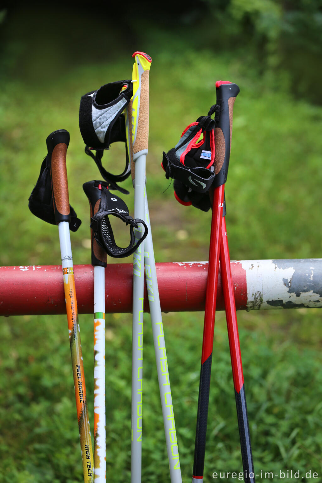 Detailansicht von Nordic Walking