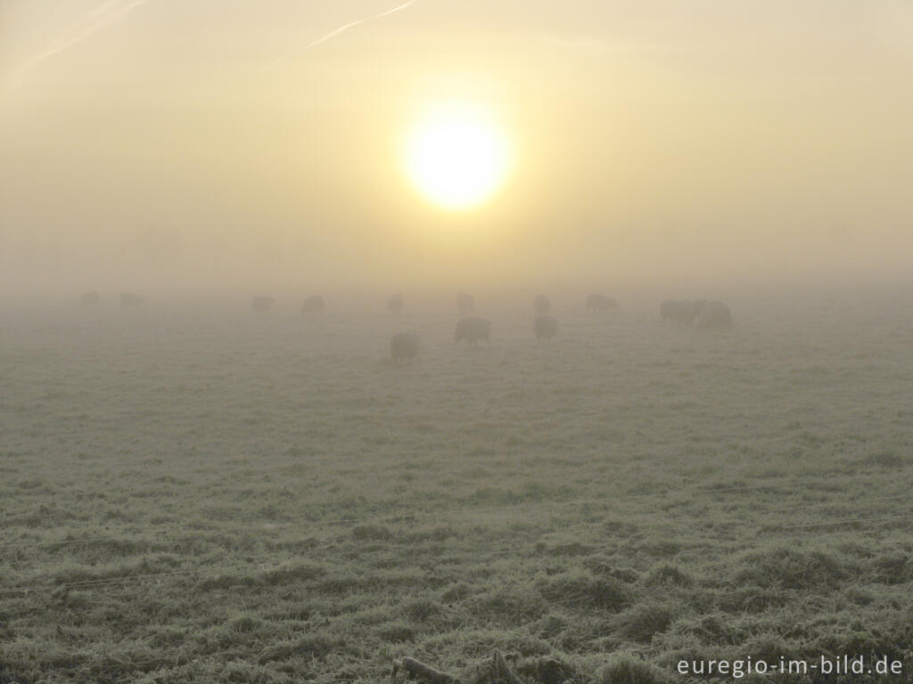 Detailansicht von Novembernebel