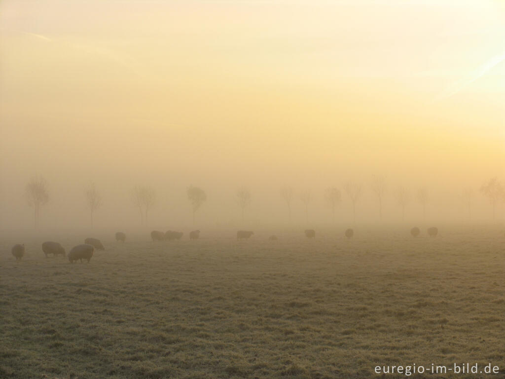 Detailansicht von Novembernebel