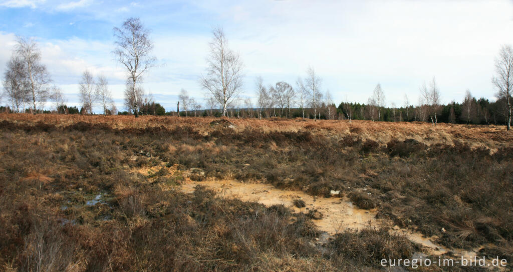 Detailansicht von NSG Struffelt-Heide, Eifelsteig, 1. Etappe 