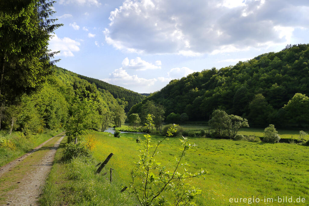 Detailansicht von Ourtal südlich von Ouren