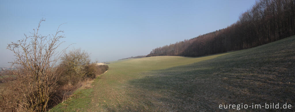 Detailansicht von Panoramablick auf dem Schneeberg