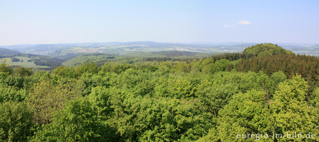 Panoramablick vom Aussichtsturm der Dietzenley 