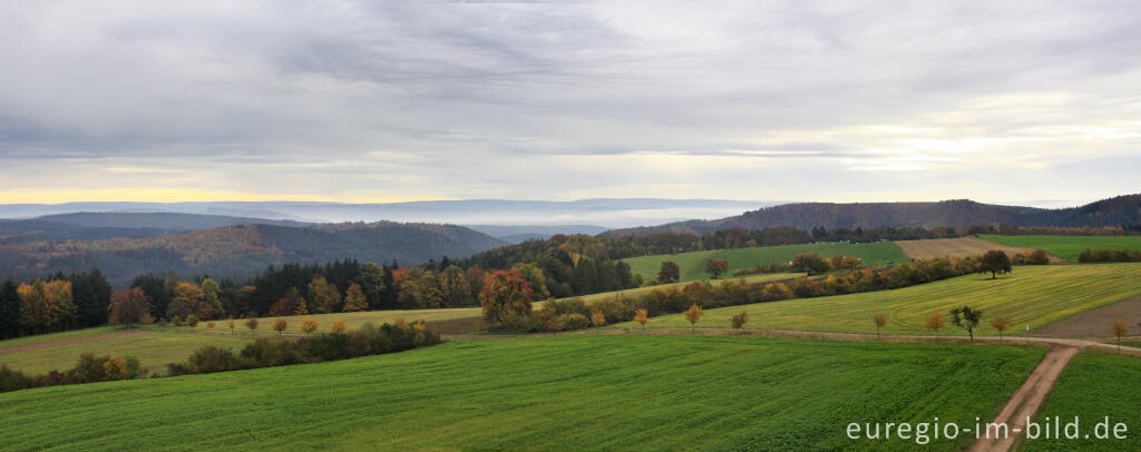 Detailansicht von Panoramablick vom Fidei-Aussichtsturm nördlich von Rodt, Eifelsteig, Etappe 14