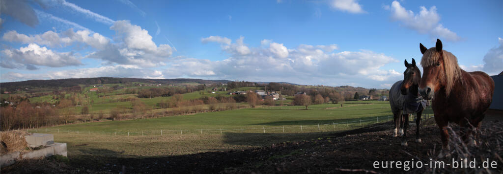 Detailansicht von Panoramafoto des Geultals bei Sippenaeken, Belgien