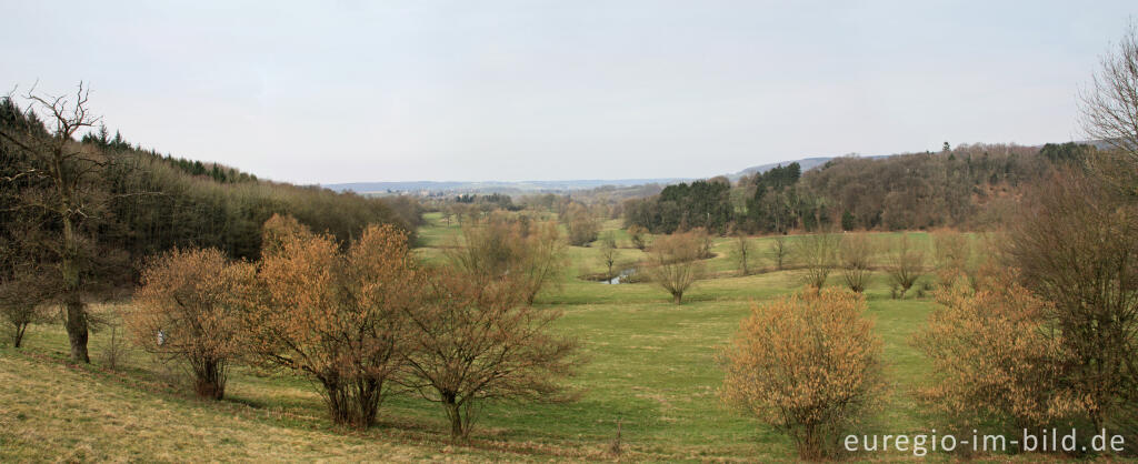 Detailansicht von Panoramafoto des Göhltals nördlich von Plombières