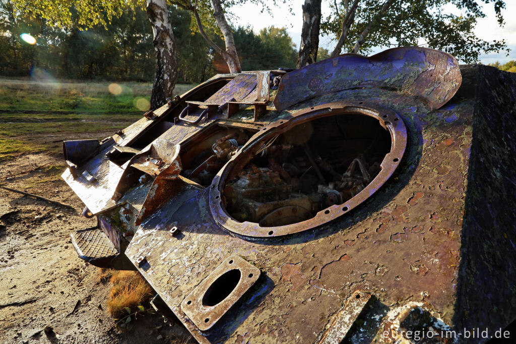 Detailansicht von Panzer in der Schavener Heide