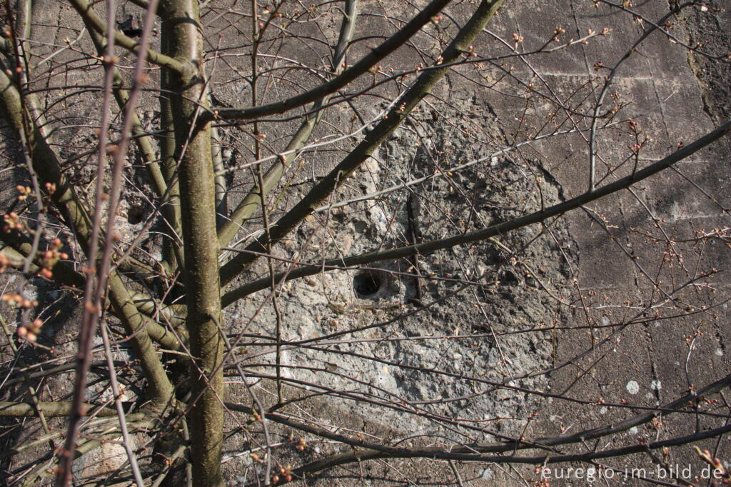 Detailansicht von Panzermauer des Westwalls beim Schneeberg