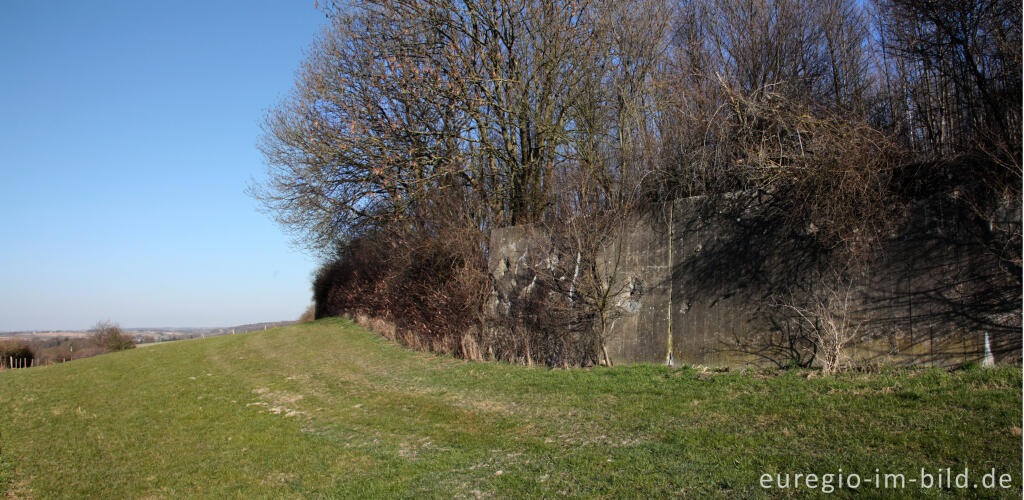 Detailansicht von Panzermauer des Westwalls, Schneeberg 