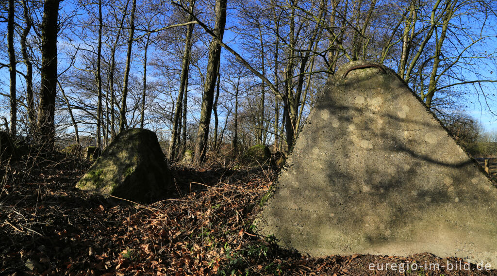 Panzersperre des Westwalls bei Lammersdorf (Häckeltches Weg)